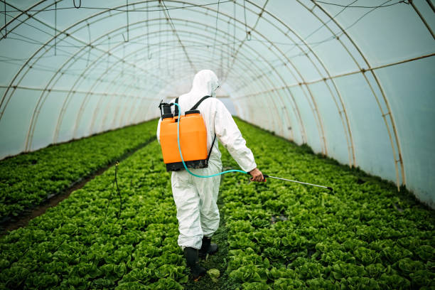 Best Best Pest Control Companies  in Ensley, FL