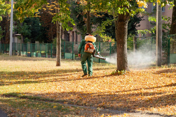 Best Flea Control Services  in Ensley, FL