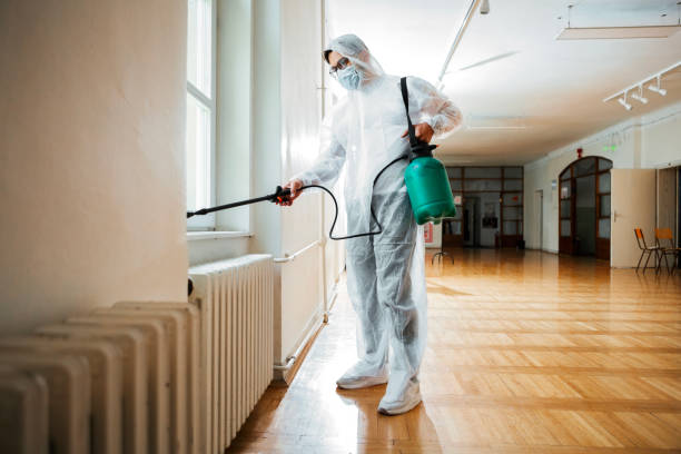 Best Local Pest Control Services  in Ensley, FL