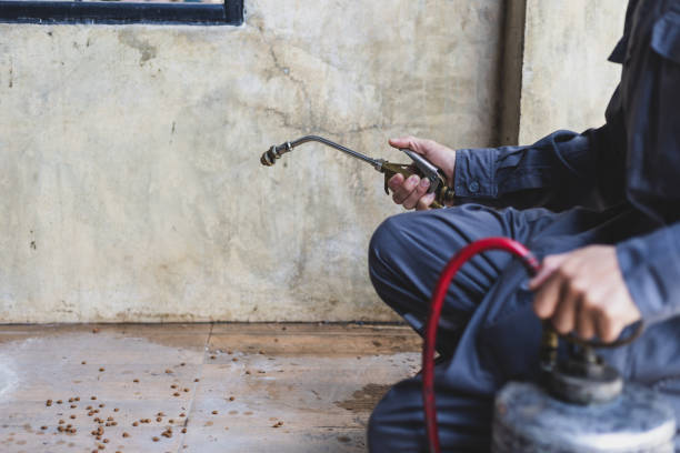 Best Termite Control Services  in Ensley, FL