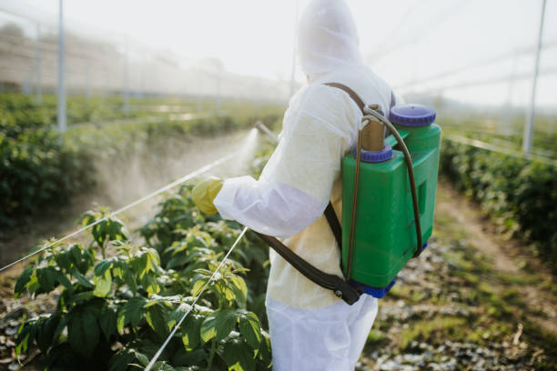 Best Wildlife Control Services  in Ensley, FL